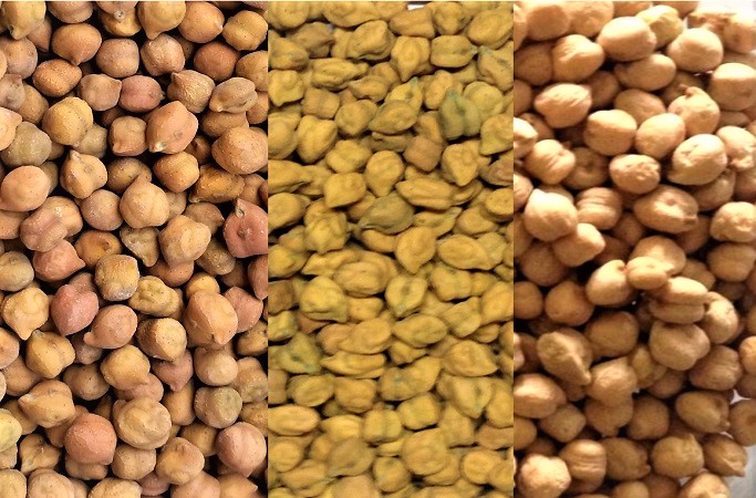 Free Template by uicookies.com