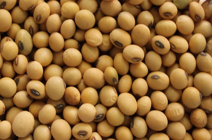 Free Template by uicookies.com